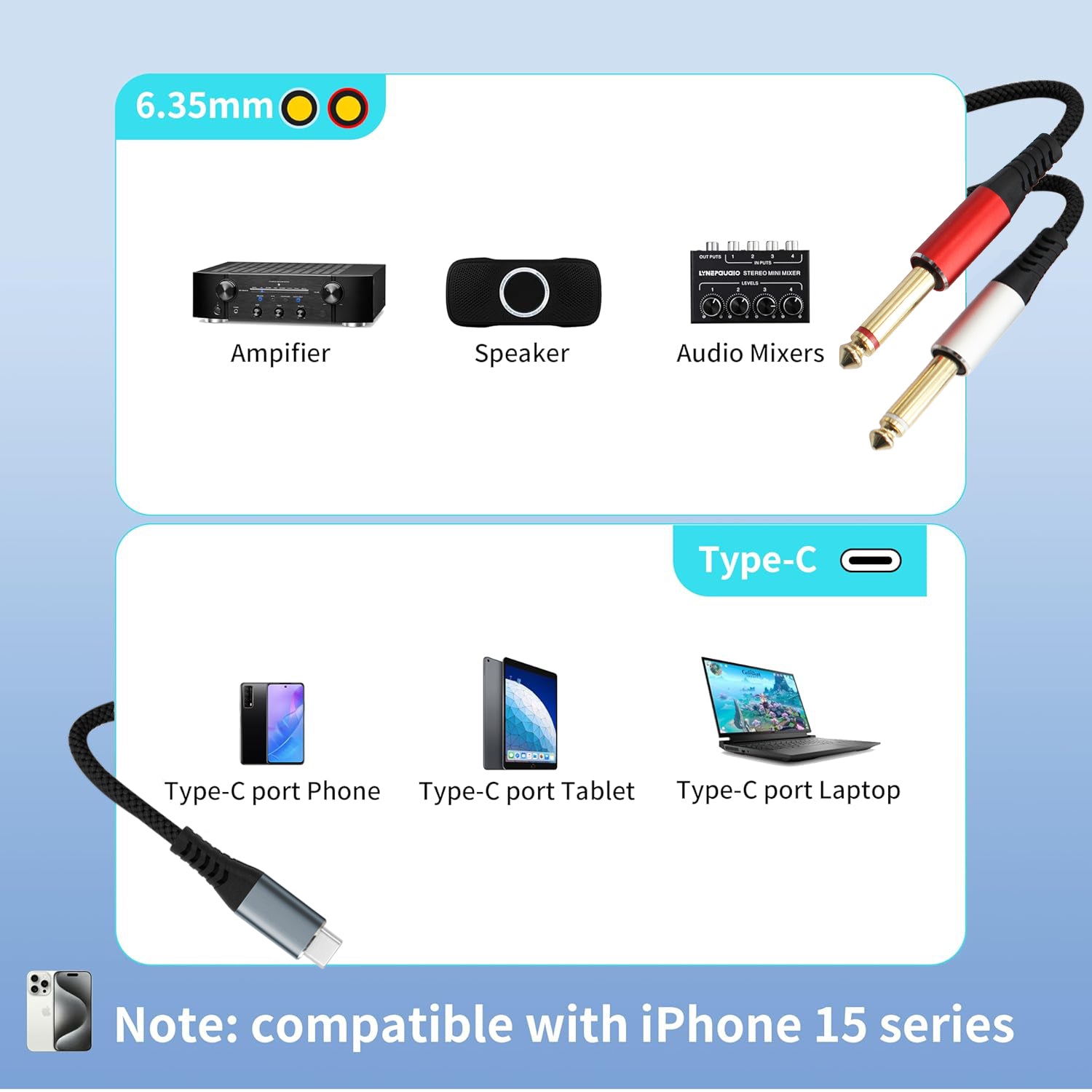 Type-c to dual 6.35 TS