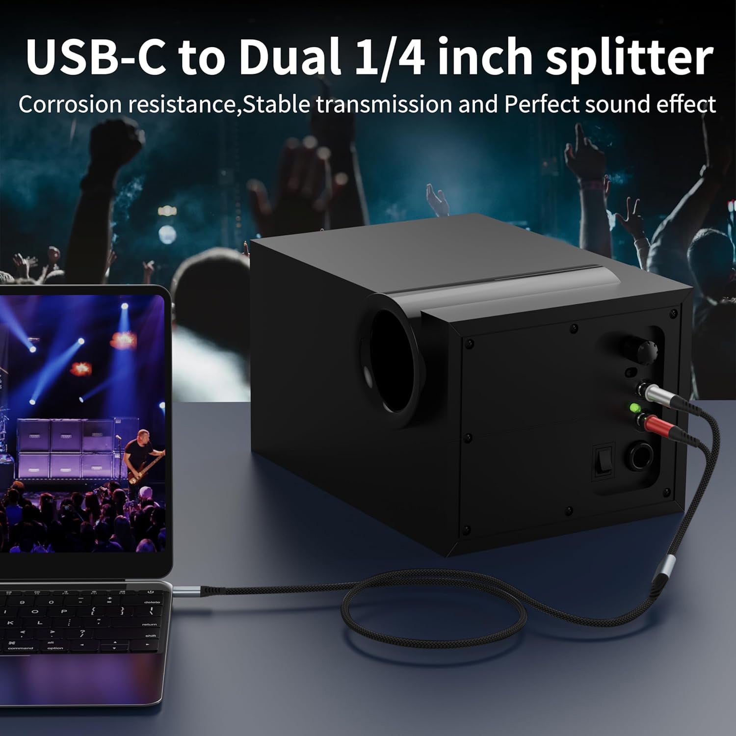Type-c to dual 6.35 TS